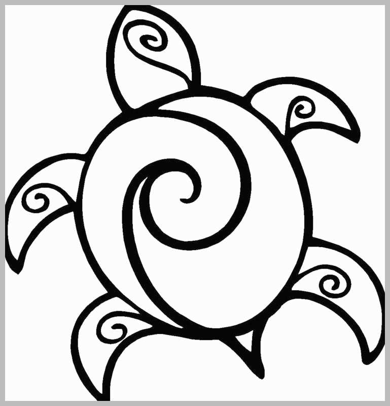 769x800 Cartoon Turtle Coloring Pages Pretty Sea Turtle Cartoon Drawing