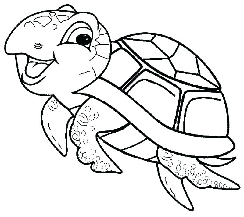 800x712 Cartoon Turtle Drawings Cartoon Turtle Cute Cartoon Turtle
