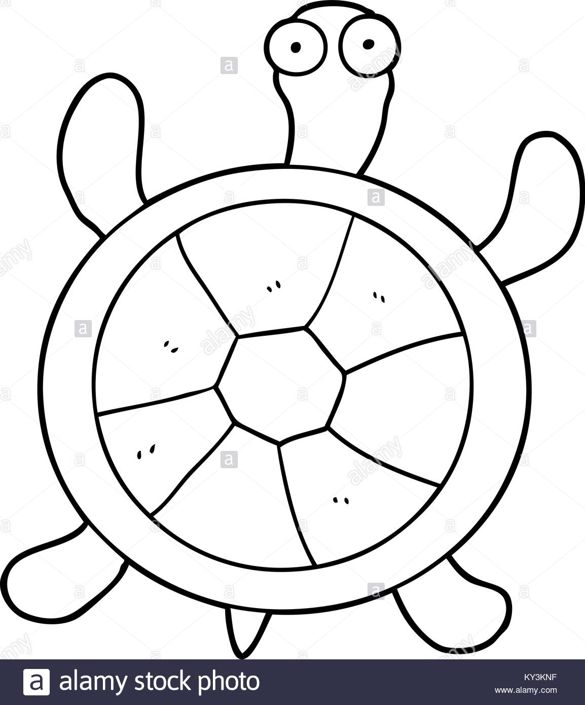 1154x1390 Cartoon Turtle Line Drawing Of Ninja A Sea Pictures Carmi Chaelinn