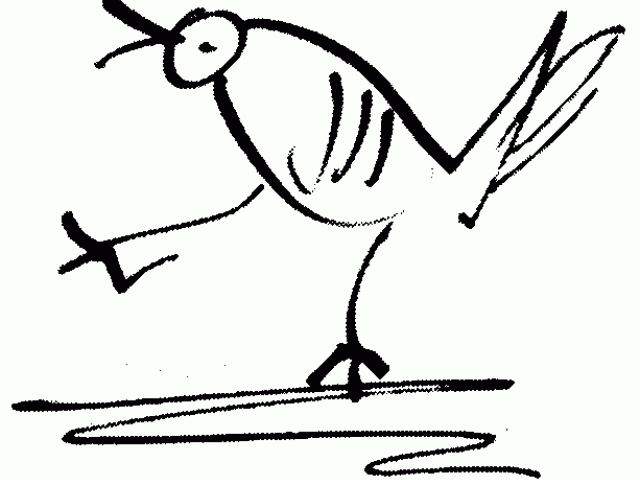 640x480 Drawn Turtle Dove Line Draw