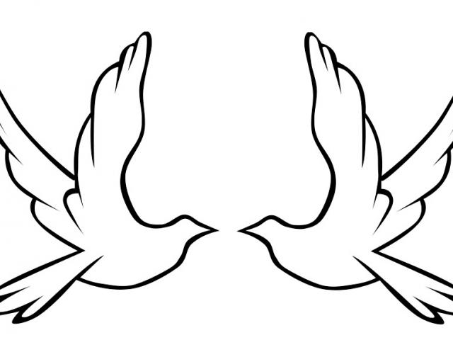 640x480 Drawn Turtle Dove Twelve Days Free Clip Art Stock Illustrations