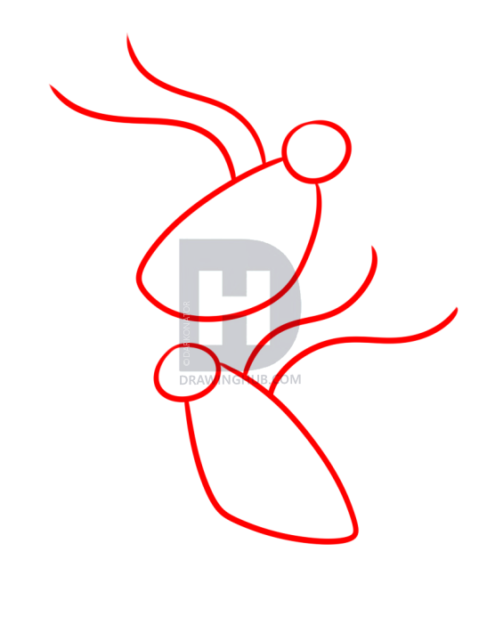 547x720 How To Draw Turtle Doves, Step