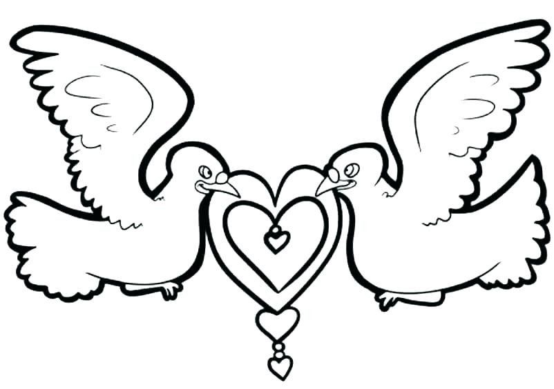 802x564 Mourning Dove Coloring