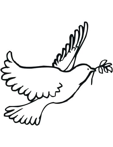 371x480 Peace Dove Coloring