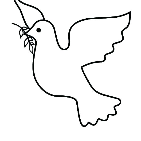 600x600 Dove Coloring Page