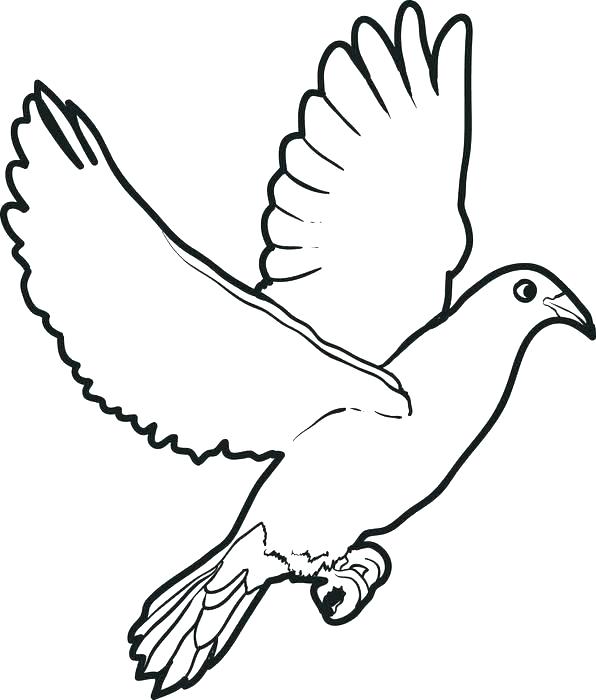 596x700 Doves Coloring Pages Thewestudio