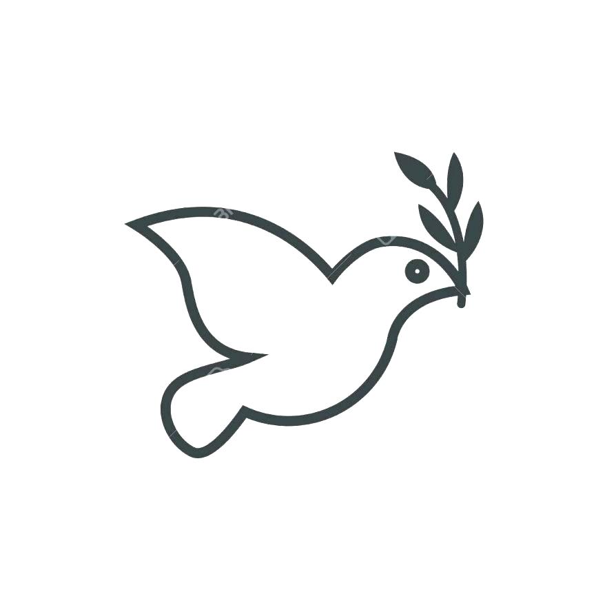 878x878 Dove Drawing Diving For Free Download