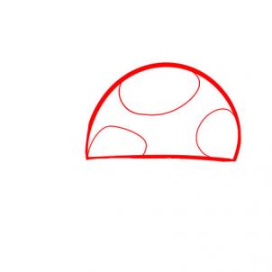 302x302 How To Draw How To Draw A Turtle For Kids