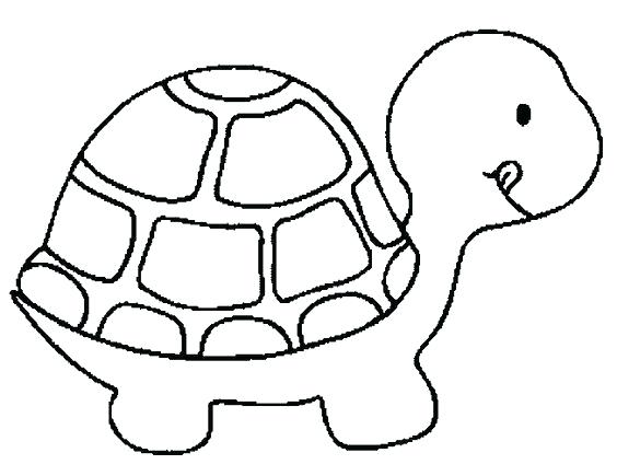 564x435 Drawing Of A Turtle Drawing Letters With Turtle Python