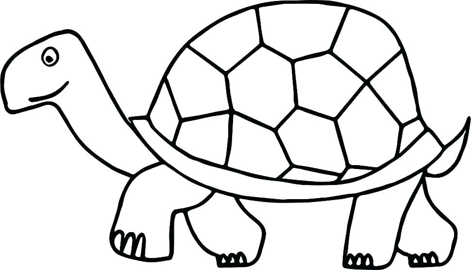 970x556 Free Printable Turtle Coloring