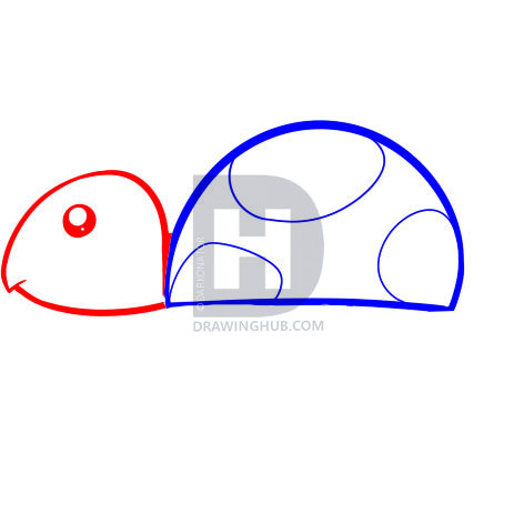 472x472 How To Draw A Turtle For Kids, Step