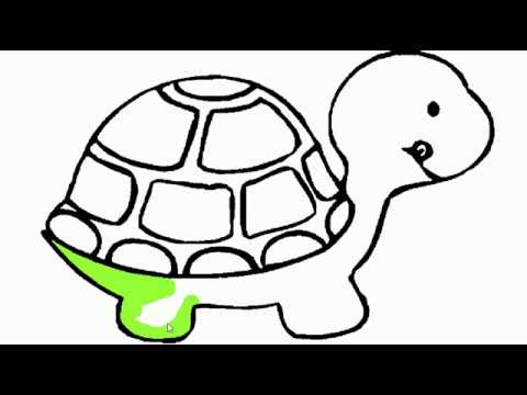 480x360 How To Draw And Colour Turtle For Kids