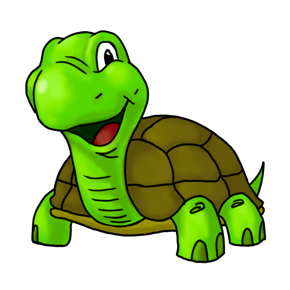 1000x1000 Reduced Cartoon Turtle Pictures For Kids Free Of Turtles Download