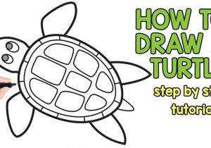 300x210 Sea Turtle How To Draw Sea Animals Step