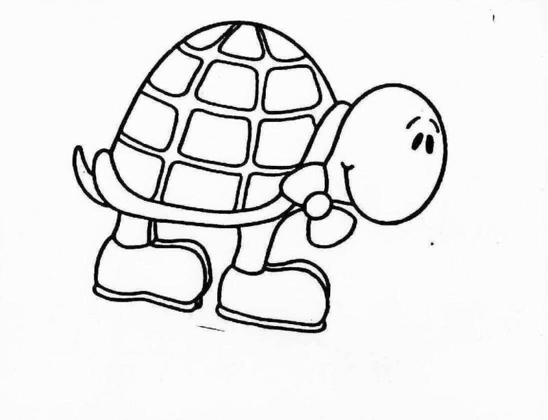 800x613 Turtle Drawing For Kids