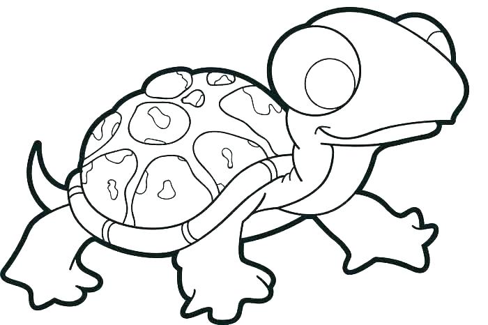 700x466 Turtle Drawing For Kids