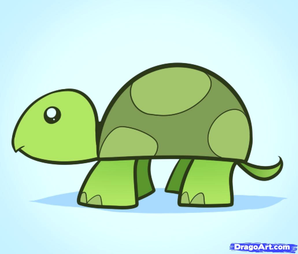1031x878 Cute Animated Turtles Awesome How To Draw A Turtle For Kids Step