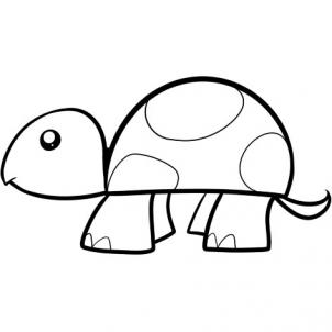 302x302 How To Draw How To Draw A Turtle For Kids