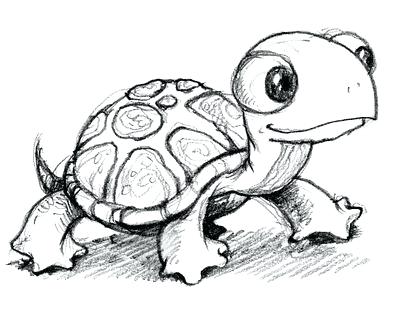 400x318 Pictures Of Turtles To Draw When In Doubt Draw A Cute Turtle