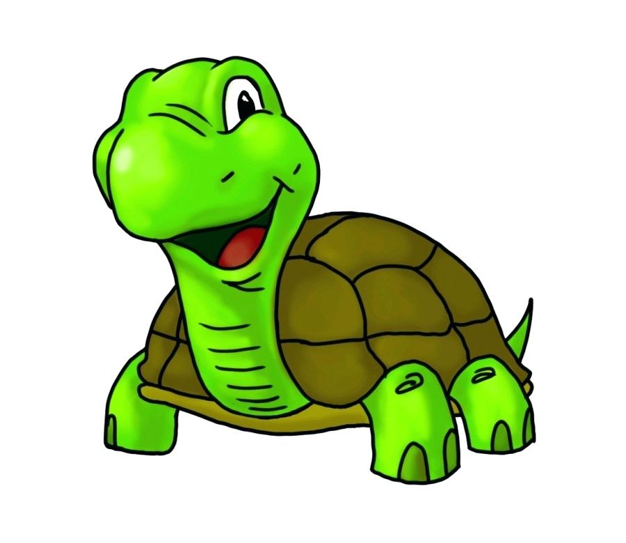 900x780 Turtle Cartoon Drawing Turtle Cartoon Drawing Clip Art Turtle