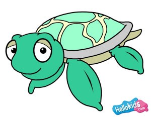 300x233 How To Draw How To Draw A Sea Turtle