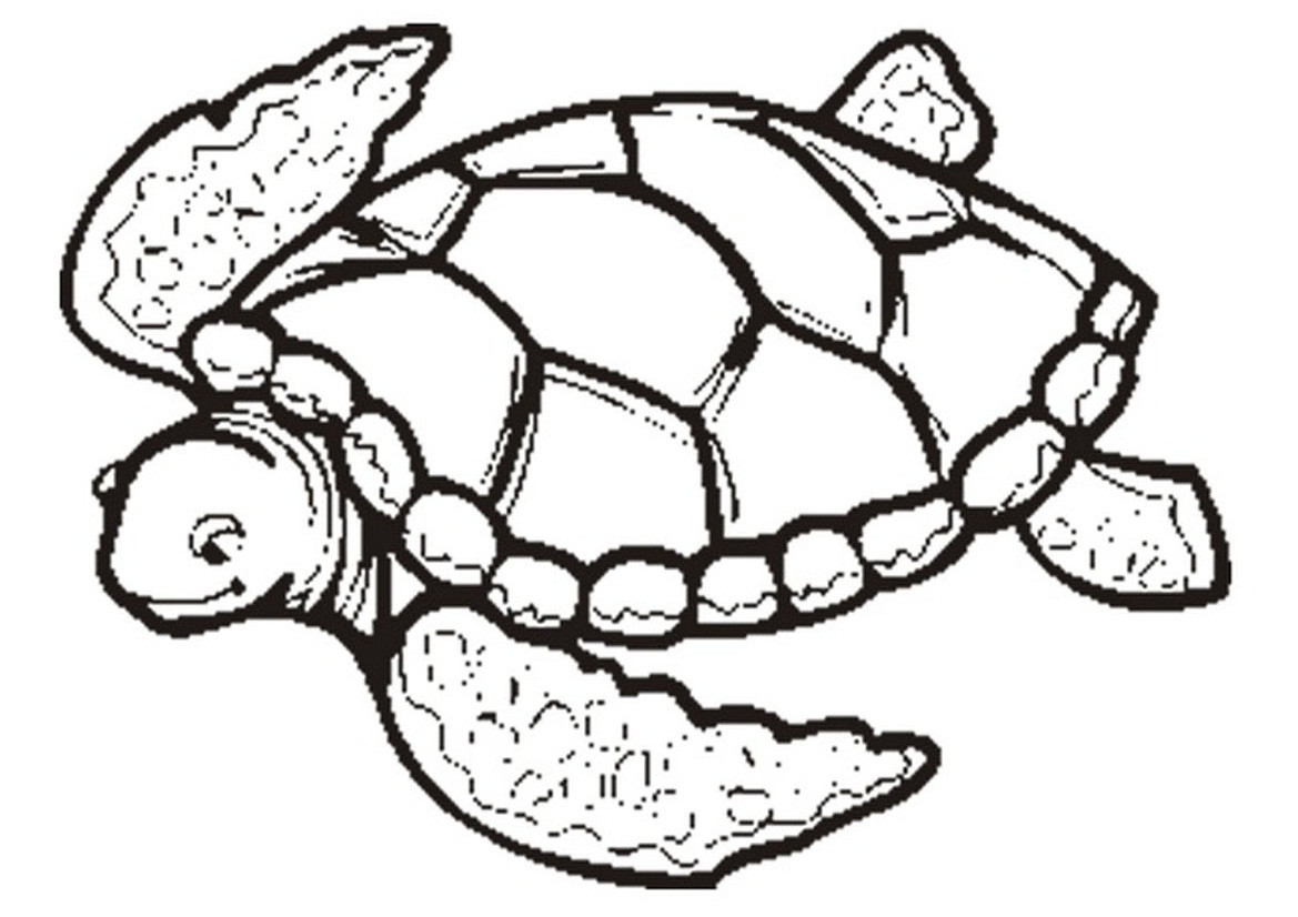 1169x826 Beautiful Turtle Face Coloring
