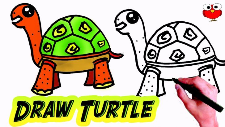 Turtle Face Drawing | Free download on ClipArtMag