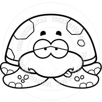 336x336 Cartoon Turtle Drawing Step