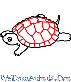 300x350 How To Draw A Map Turtle