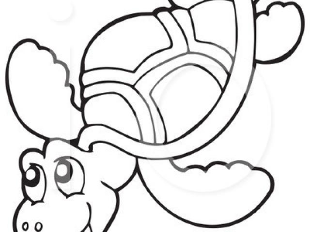 640x480 Sea Turtle Clipart Turtle Drawing