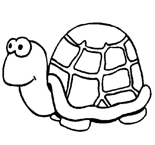 505x470 Turtle, Drawing, Head, Transparent Png Image Clipart Free Download