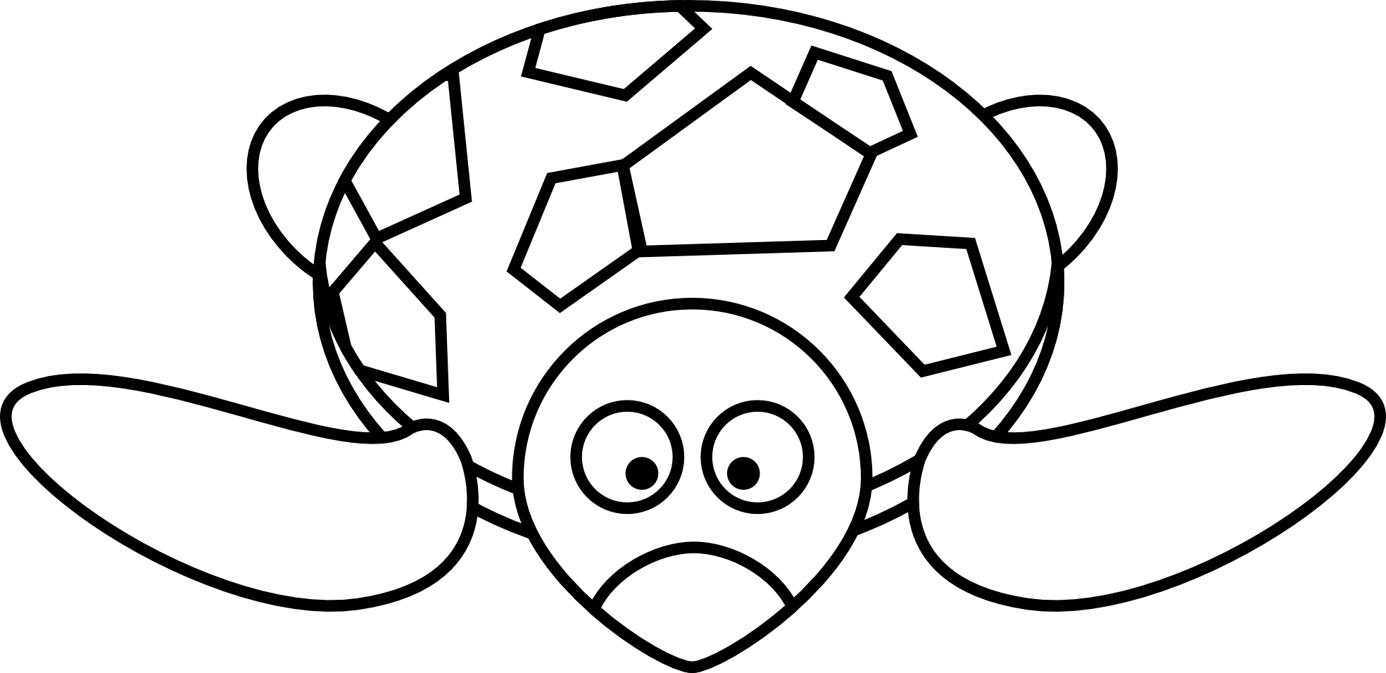 1969x956 Turtle Drawing Cliparts