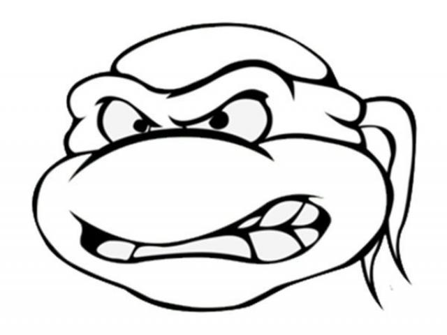 640x480 Drawn Turtle Head