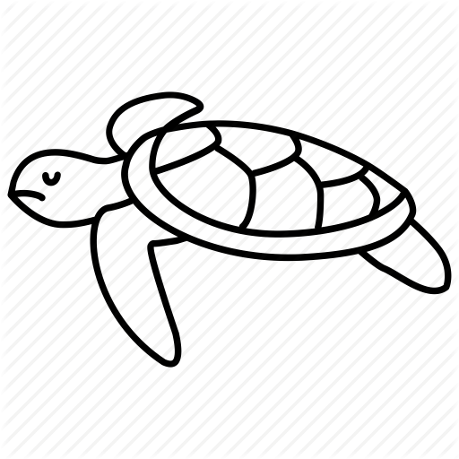 512x512 Turtle, Drawing, Sea, Transparent Png Image Clipart Free Download