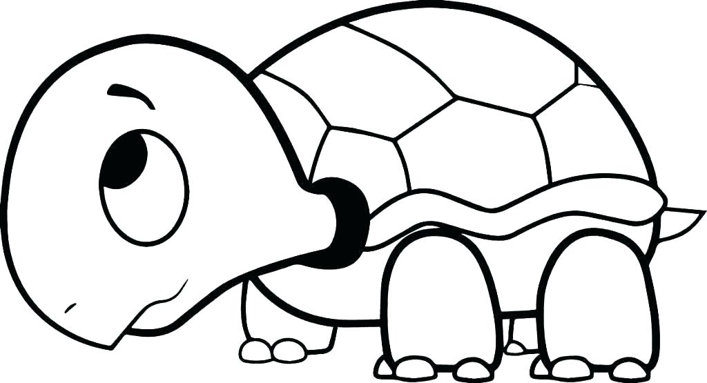 1024x555 Simple Sea Turtle Drawing