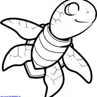 Sea Turtle Line Drawing | Free download on ClipArtMag