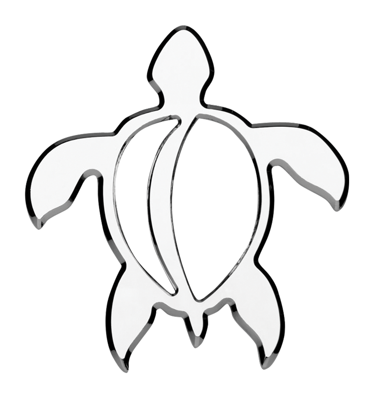 752x800 Drawing Turtles Free Download On Unixtitan