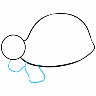 320x320 Hd How To Draw Sea Turtle