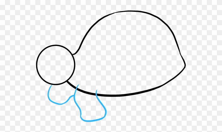 880x525 How To Draw Sea Turtle