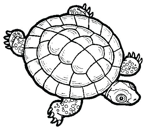 464x416 sea turtle outline sea turtles clip art sea turtle outline drawing
