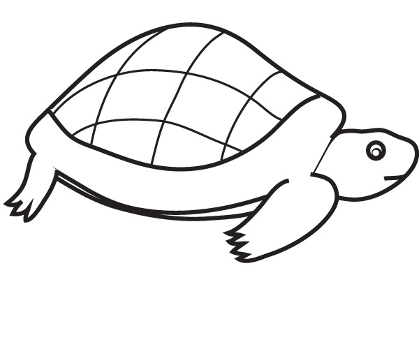 600x500 Coloring Turtle