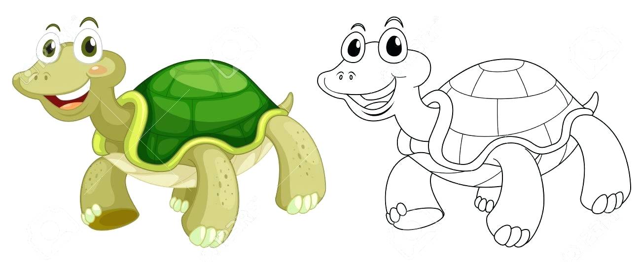 1300x532 Outline Of Turtle Outline Sea Turtle Drawing