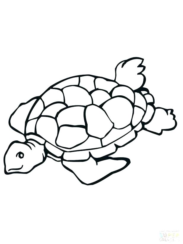 Turtle Outline Drawing | Free download on ClipArtMag