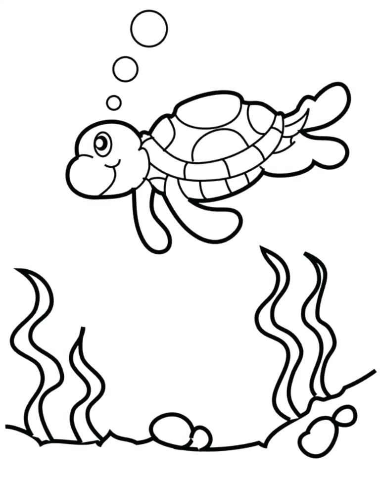 768x978 Simple Sea Turtle Drawing Cartoon Turtle Outline Fun And Simple