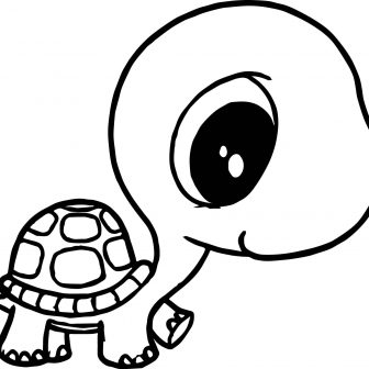336x336 Turtle Drawing Tags Crocodile Drawing Cross Color Pages Coloring
