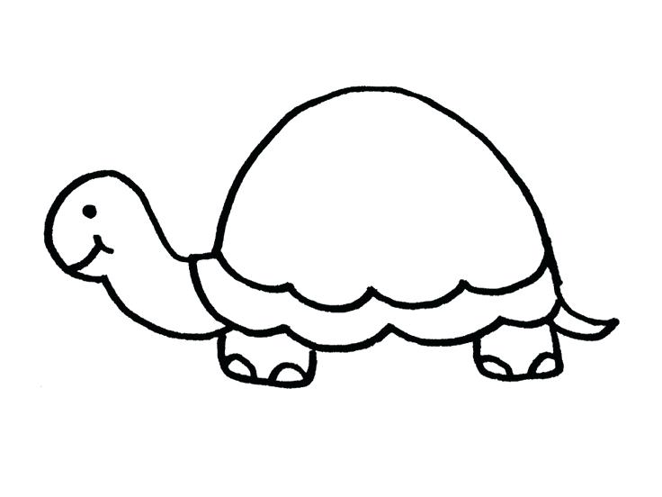 736x552 Turtle Outline Thumbnail Of Turtle Example Turtle Outline Images