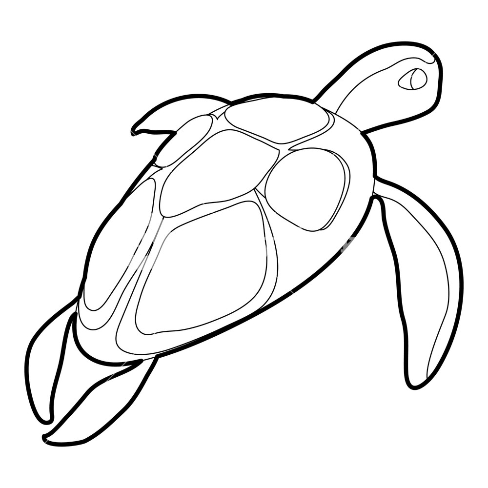 1000x1000 Turtle Icon In Outline Style Isolated On White Vector Illustration