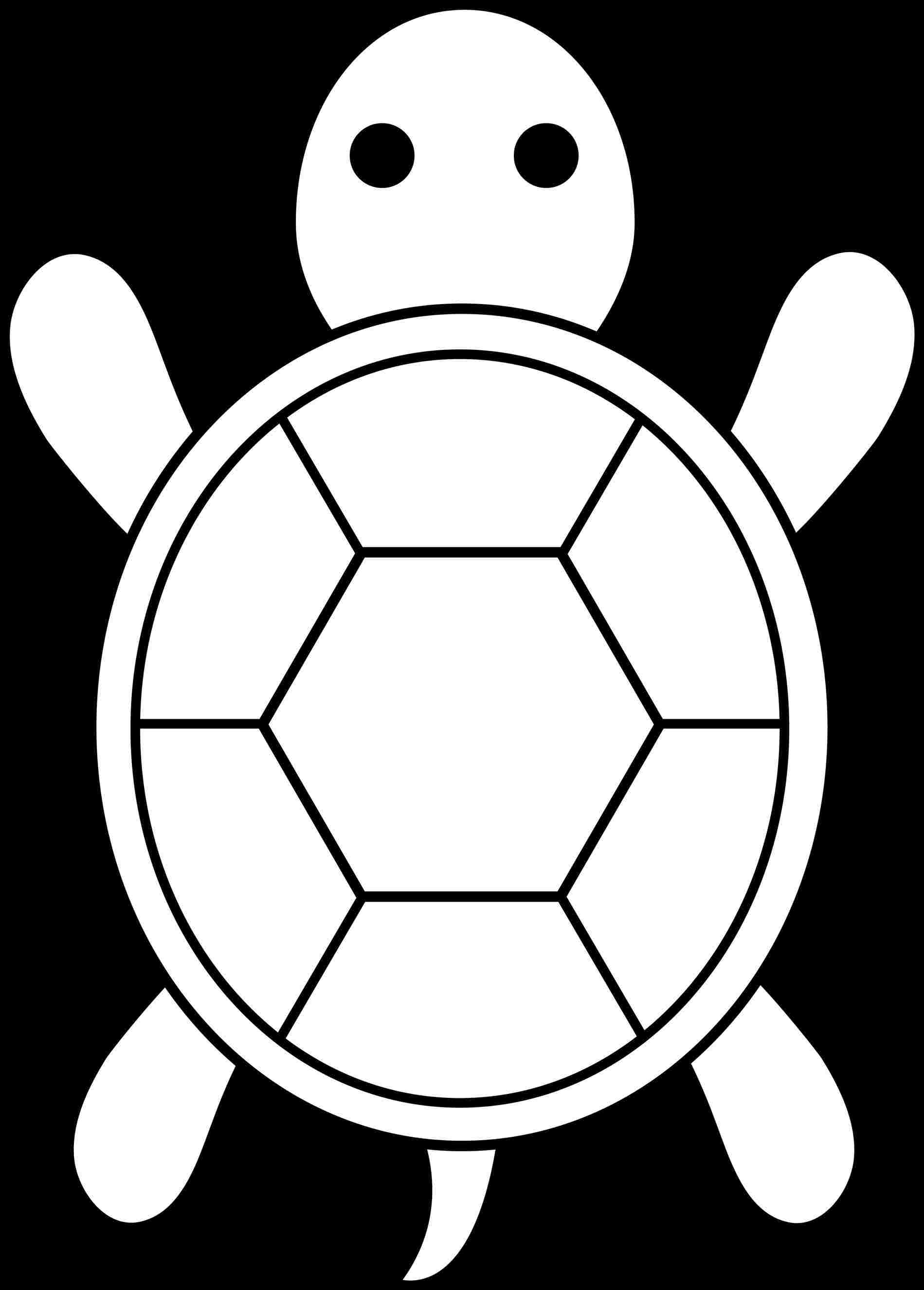 Turtle Outline Drawing Free download on ClipArtMag