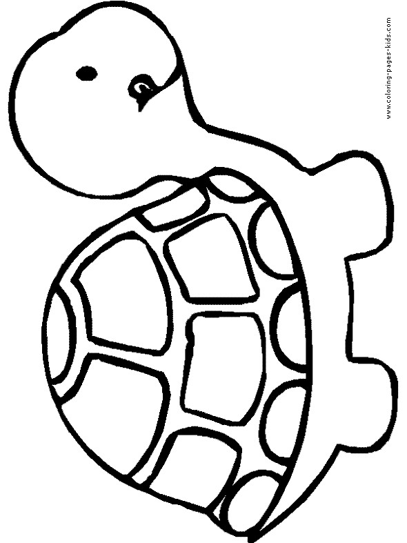 590x787 Cartoon Turtle Outline Cute Turtle Outline Nlli Coloring Cartoon