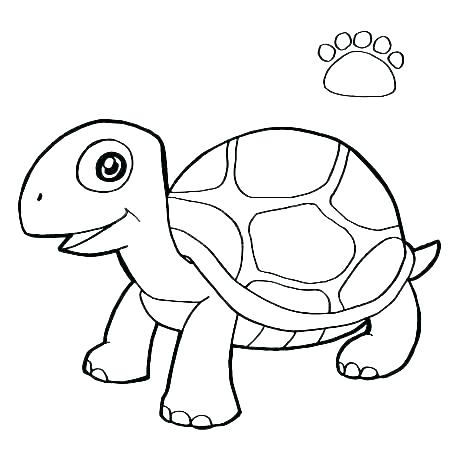 450x450 Color Turtles Hand Drawn Simple Cartoon Color Turtles In A Vector